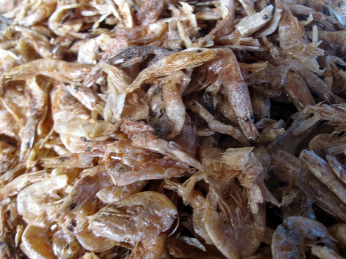 Mangalore Mangalore Mangalore Dry Fish Market